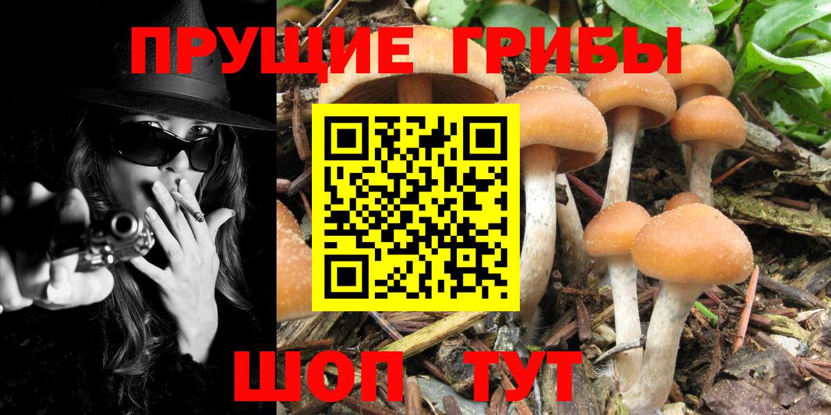 Галлюциногенные грибы мухоморы Северобайкальск