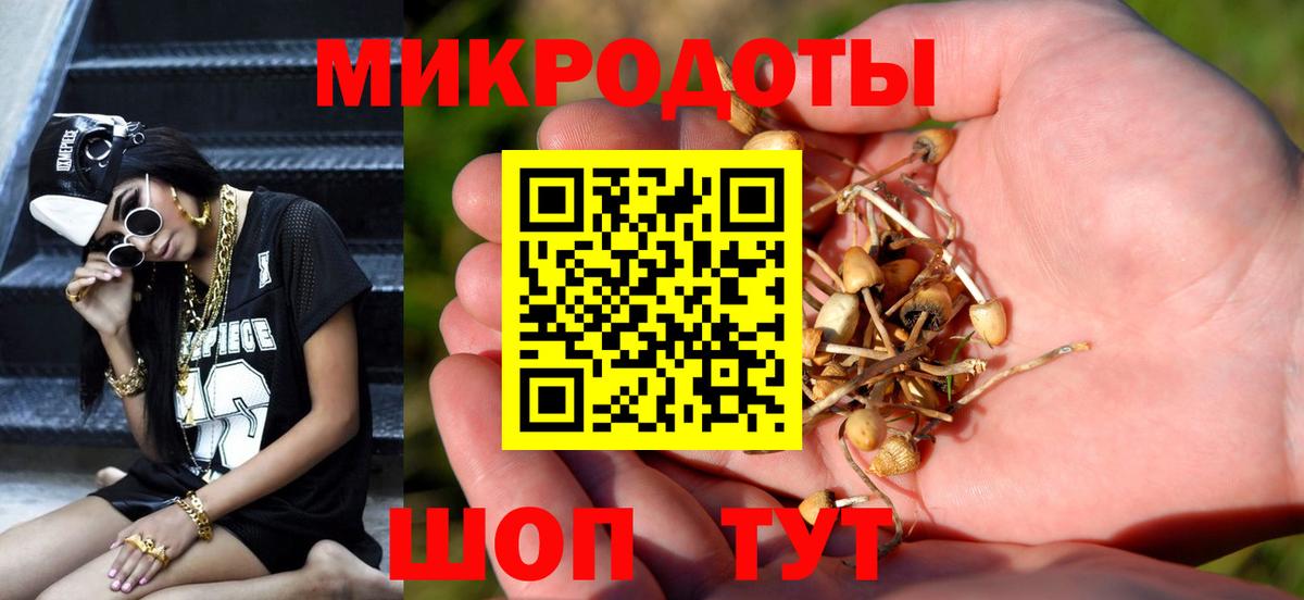 Псилоцибиновые грибы Psilocybe  Вход с VPN  Северобайкальск 